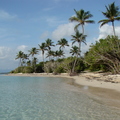 Guadeloupe, plage de bois-jolan (Ste Anne)