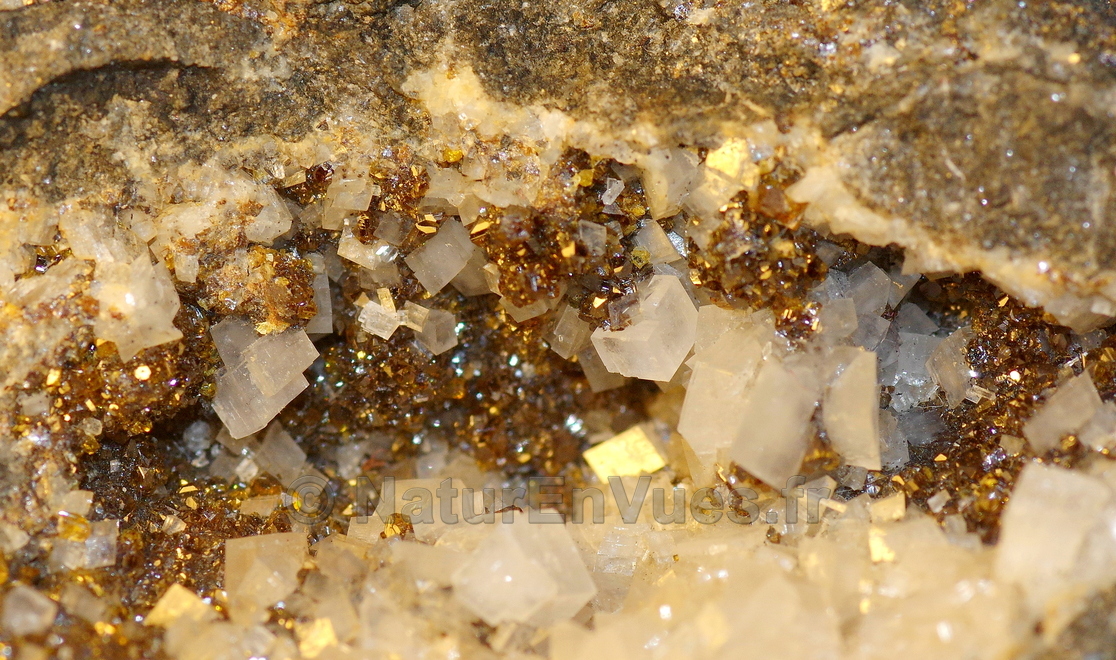 Blende ou sphalérite + dolomite (Trêves, Gard)