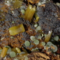 Mimétite et campylite (arséniates de plomb) - mine Ojuela, Mexique