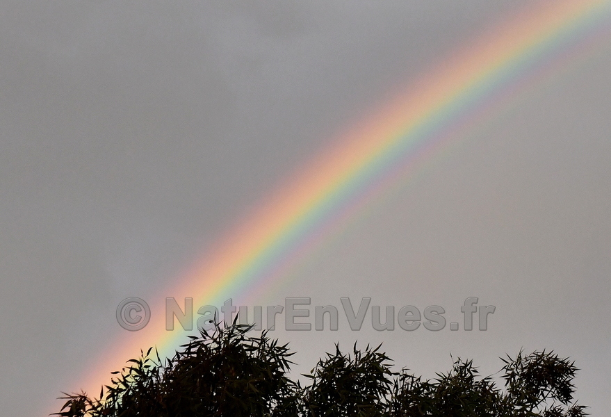 Bel arc-en-ciel pour la première pluie de l'automne (1er septembre 2025)- Solliès-Pont